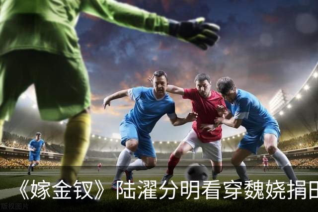 《嫁金钗》陆濯分明看穿魏娆捐田散财是在留后路，为什么还救她？